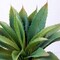 Succulents Plants Artificial Aloe Plant, 12.5Inch Large Faux Succulents Unpotted, Premium Crafting DIY Greenery Decor for Indoor & Outdoor(Green)